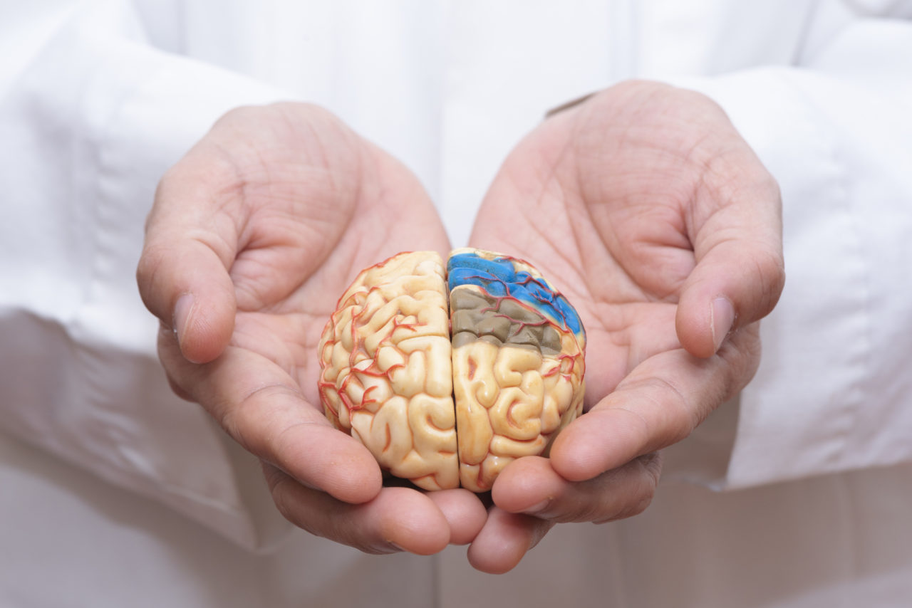 Dementia prevention - Aging Project