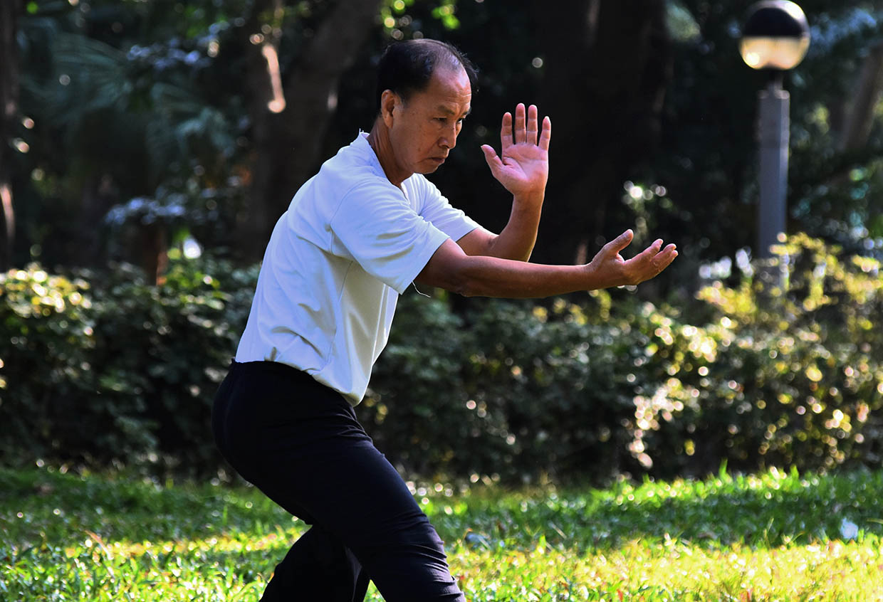 Tai chi e prevenzione delle cadute - Aging Project UniUPO