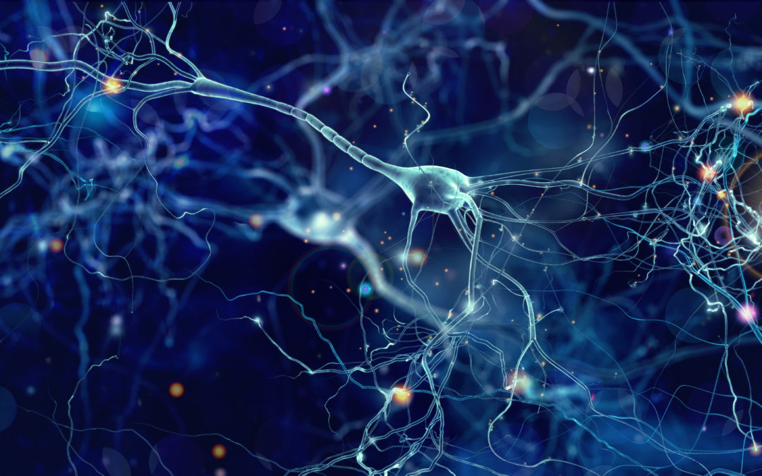 Cellular senescence and Alzheimer disease: the egg or the chicken?