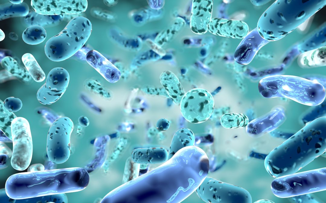La dieta mediterranea migliora il microbioma intestinale, favorendo l’healthy aging