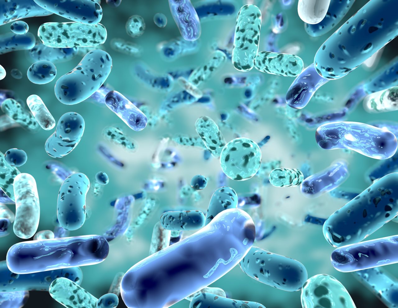 Microbiom Mediterranean diet - Aging Project