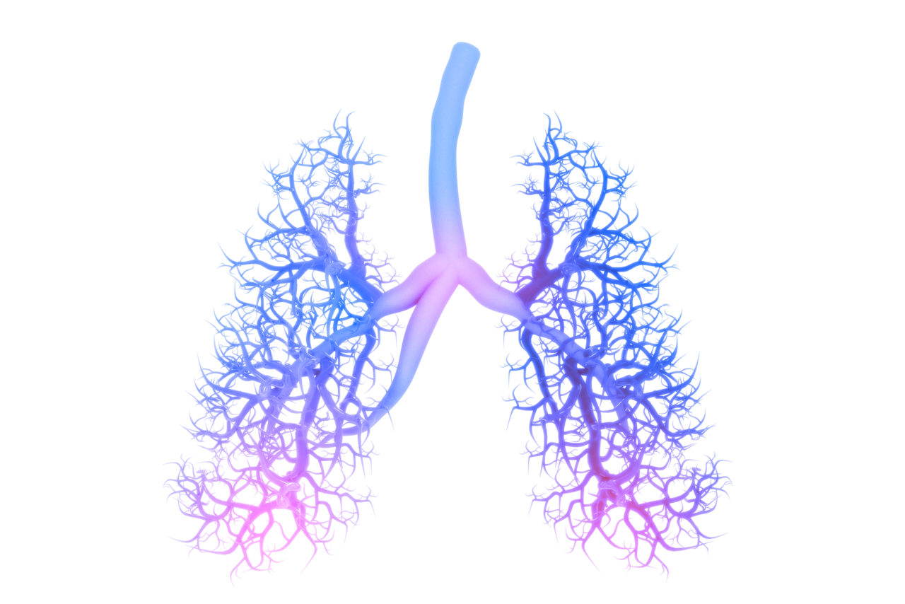 Aging Lung - Aging Project