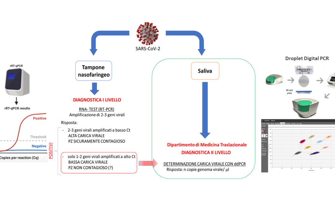 Diagnosi molecolare quantitativa di II livello per SARS-CoV-2 con tecnica ddPCR