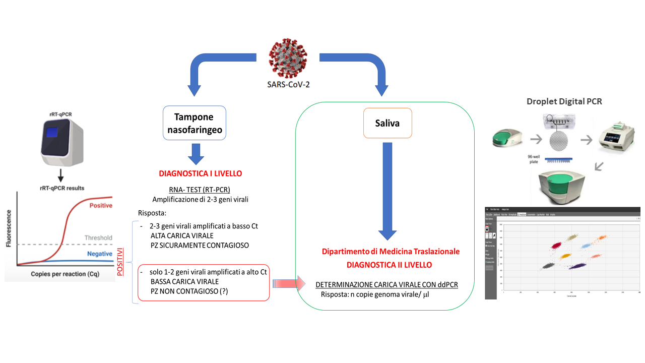 diagnosi molecolare covid - Aging Project