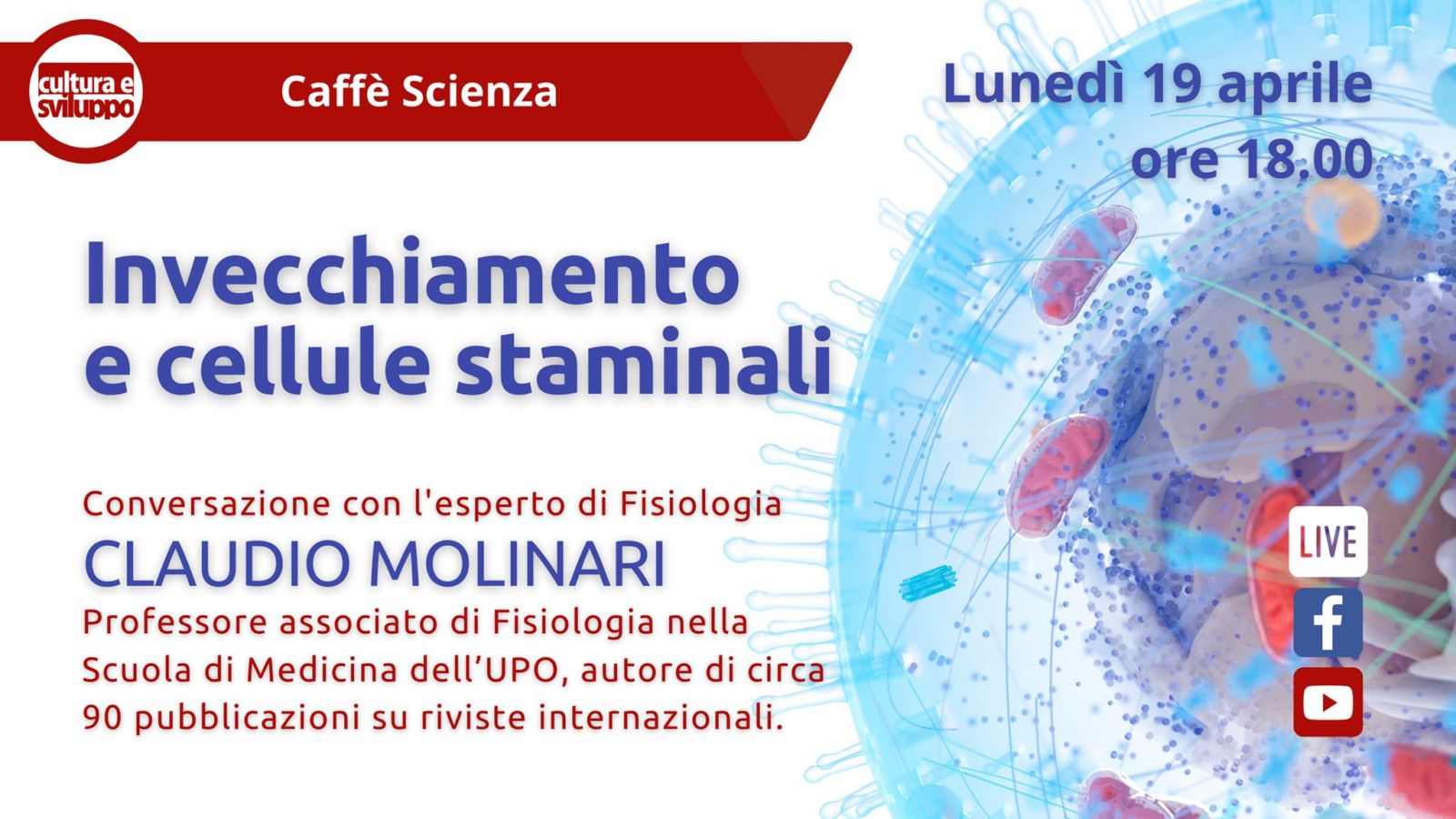 invecchiamento e cellule staminali - Aging project UniUPO