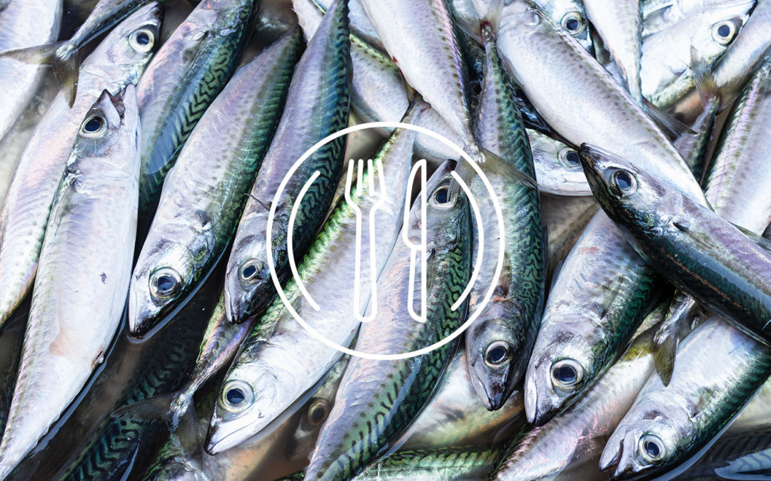 La sardina, “pesce povero” ma ricco di virtù