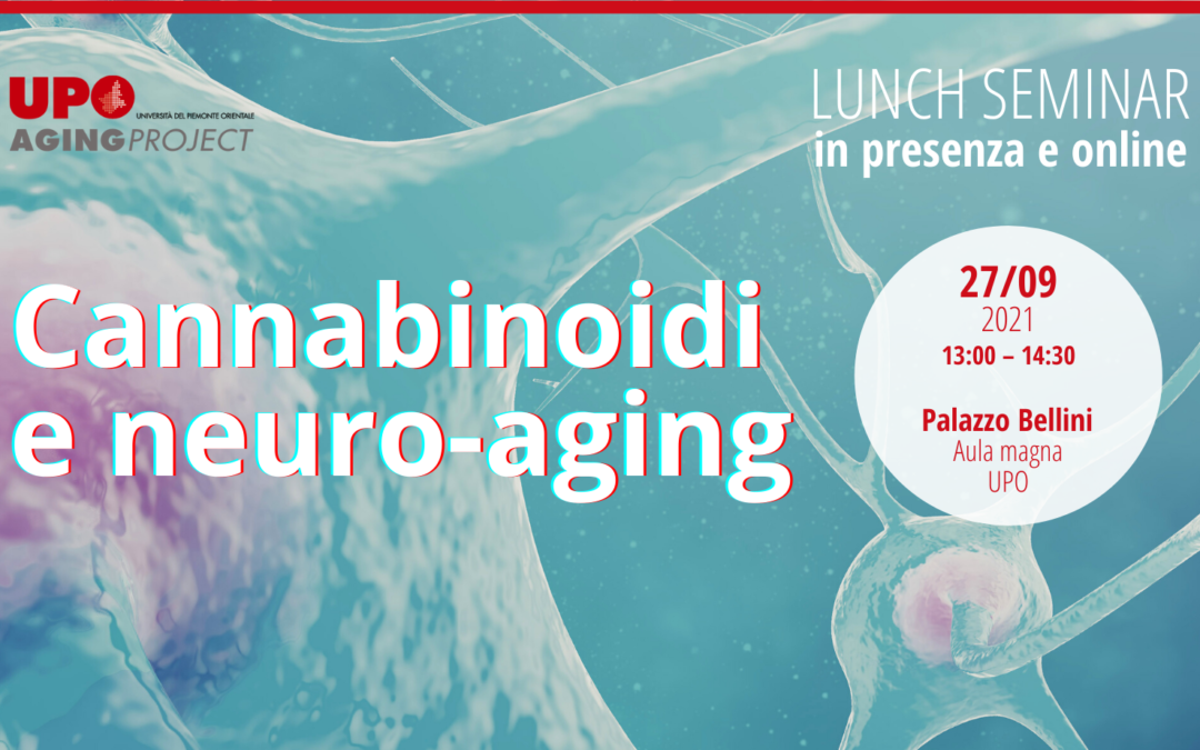 Cannabinoidi e invecchiamento cerebrale | LUNCH SEMINAR