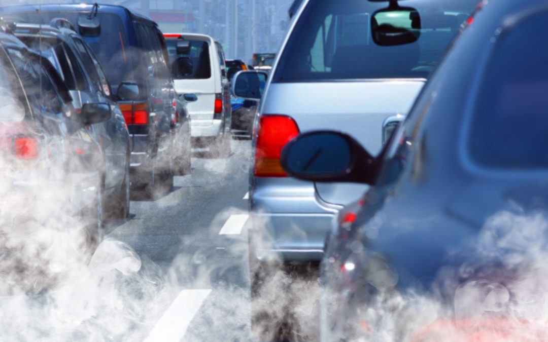 Aria di città: l’inquinamento atmosferico e acustico minacciano l’invecchiamento sano