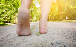 green therapy - gimnopodismo - aging project uniupo