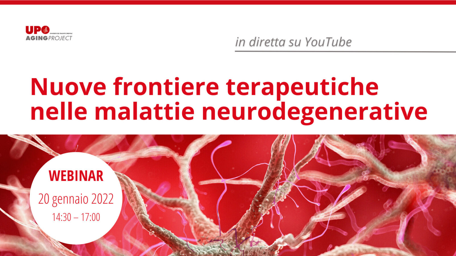 Nuove frontiere terapeutiche nelle malattie neurodegenerative - Aging Project UniUPO