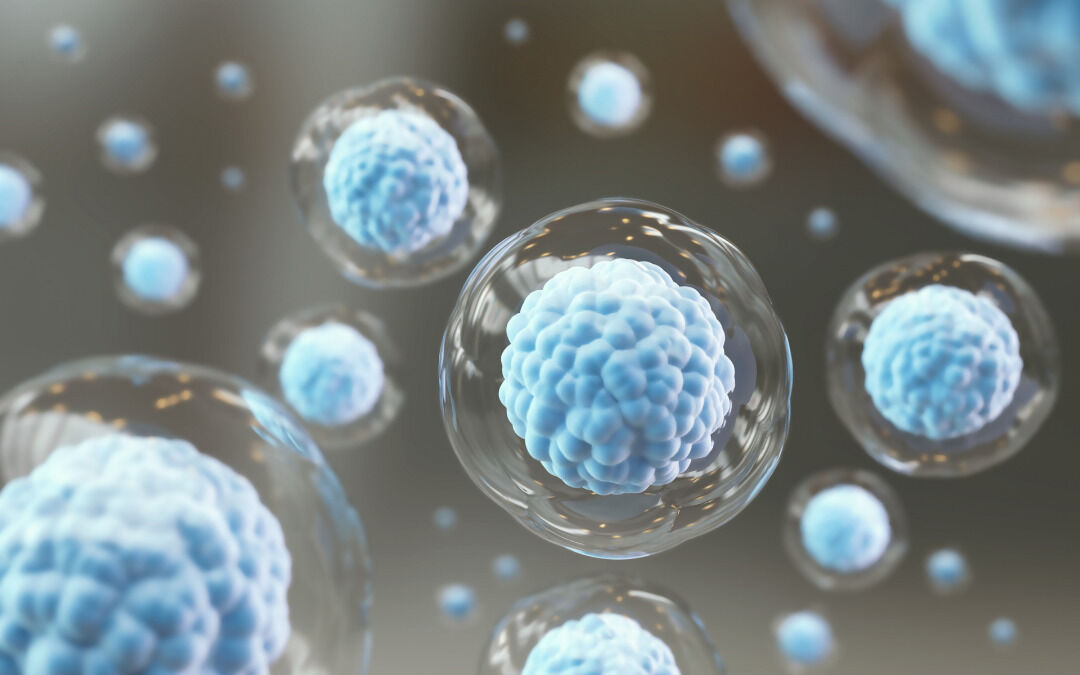 Perché invecchiamo: nuove scoperte dalle cellule staminali