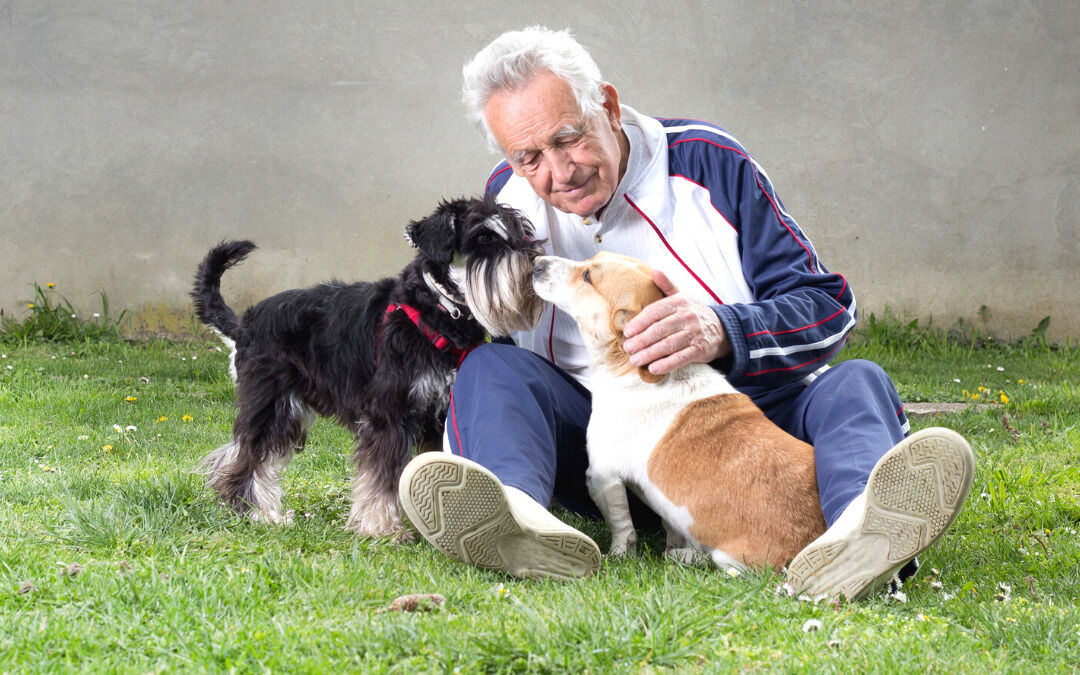 Anziani e animali: solo compagnia o anche benefici per la salute?