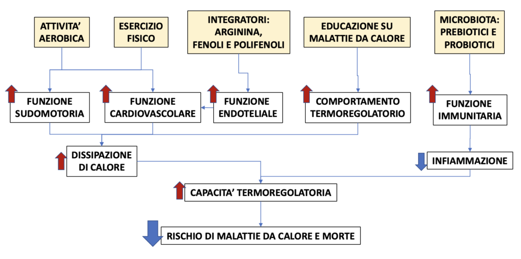 schema invecchiamento