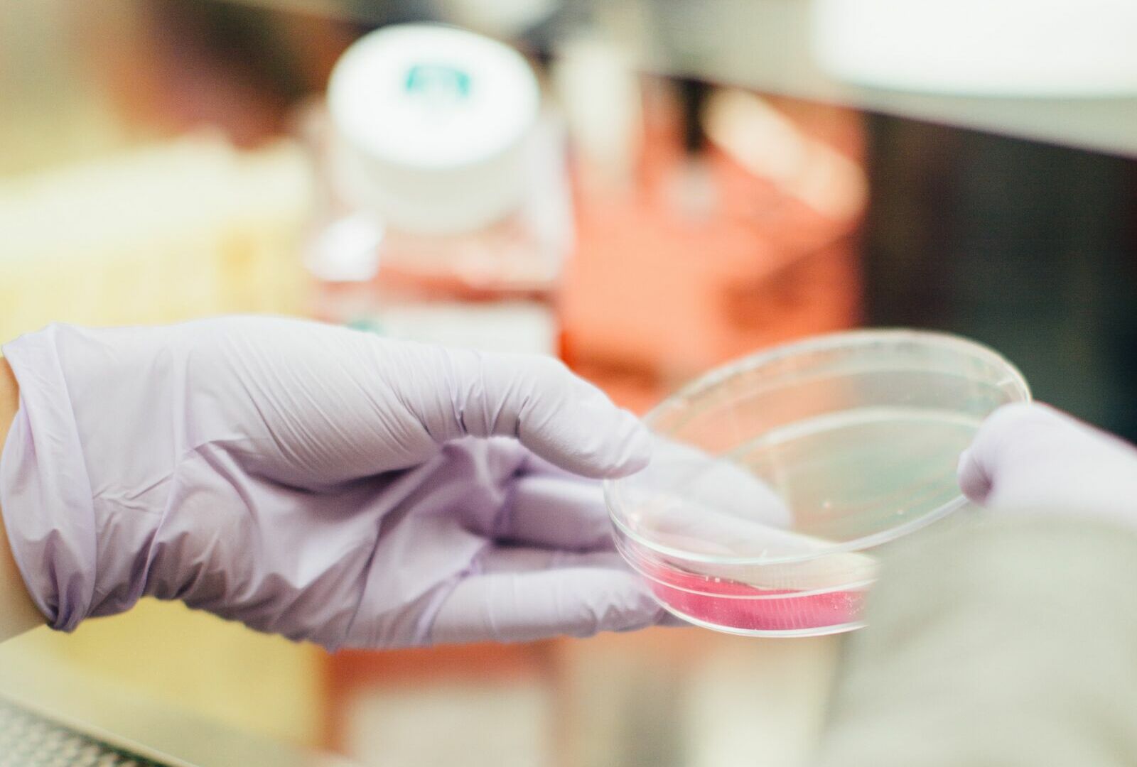 marcatori biologici invecchiamento