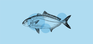 ricciola