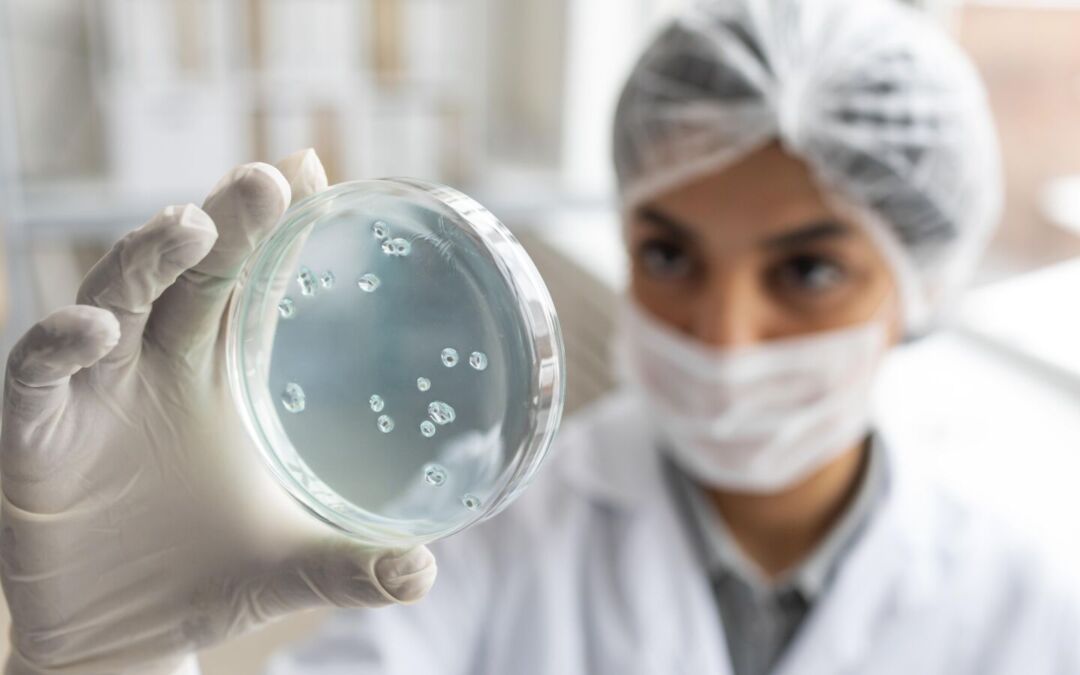 Akkermansia Muciniphila, un batterio benefico per la salute