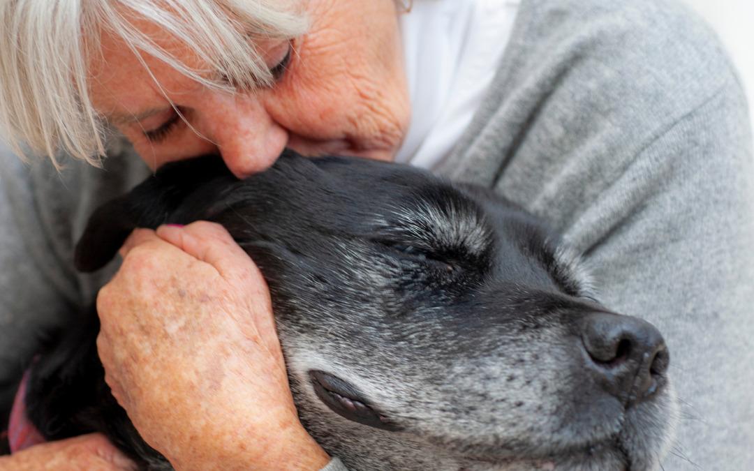 Anziani e animali da compagnia: benefici e sfide