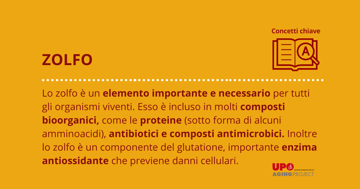 Sentire Odore Di Zolfo Significato ZOLFO | Glossario | Aging Project Uniupo