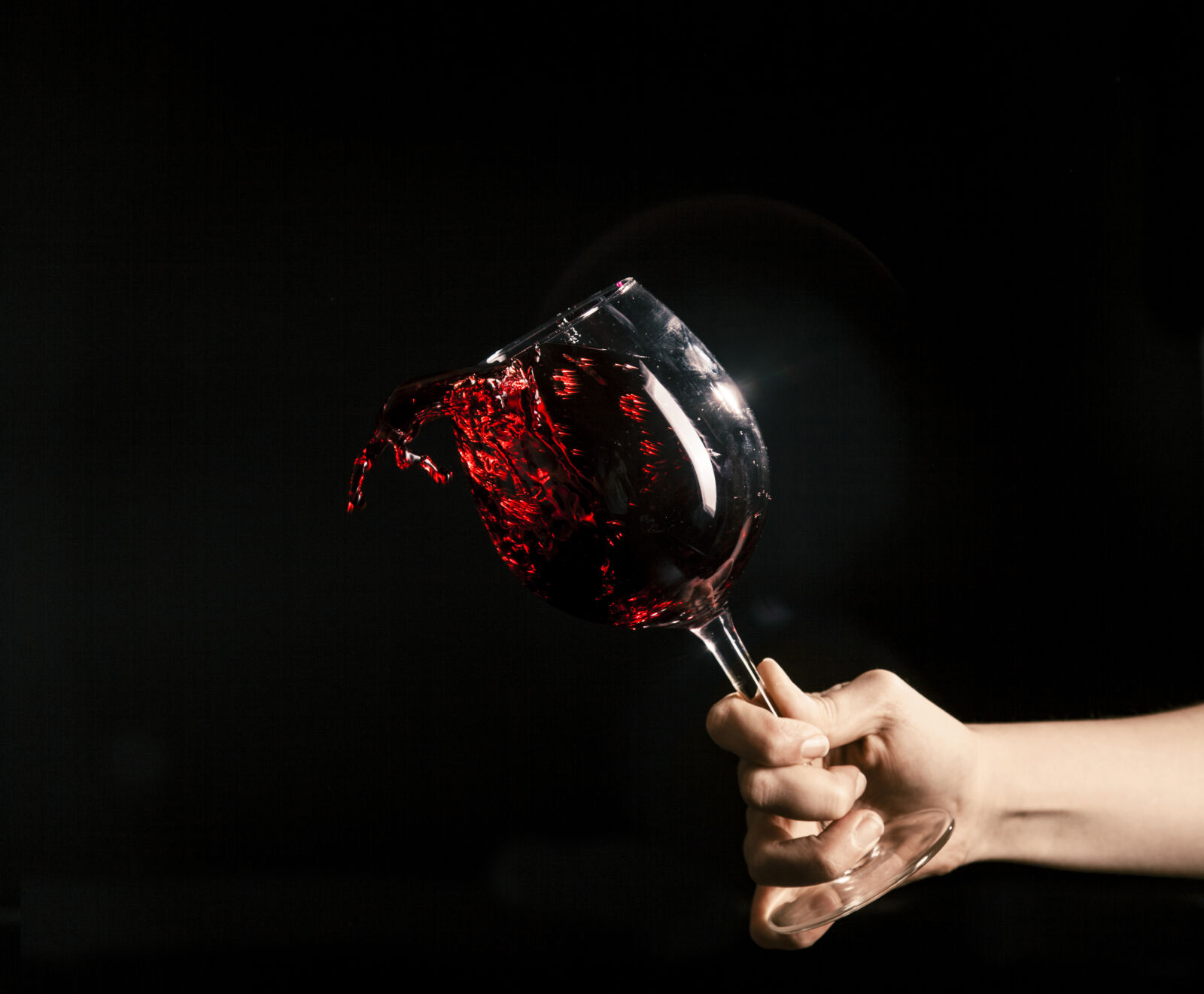 polifenoli vino rosso - Aging Project