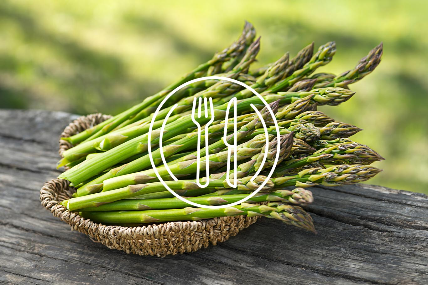 asparagi