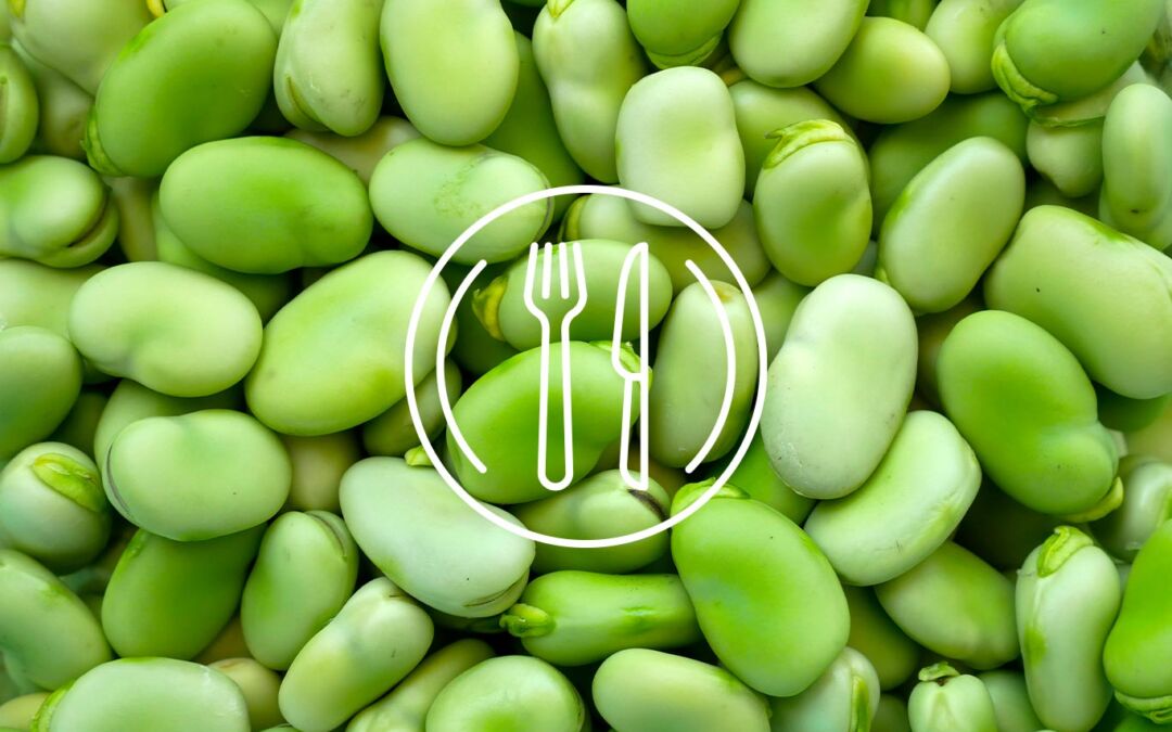 Fave: un legume antico per il benessere quotidiano