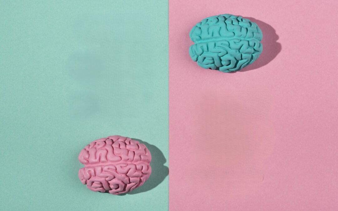 Il cervello ha un genere?