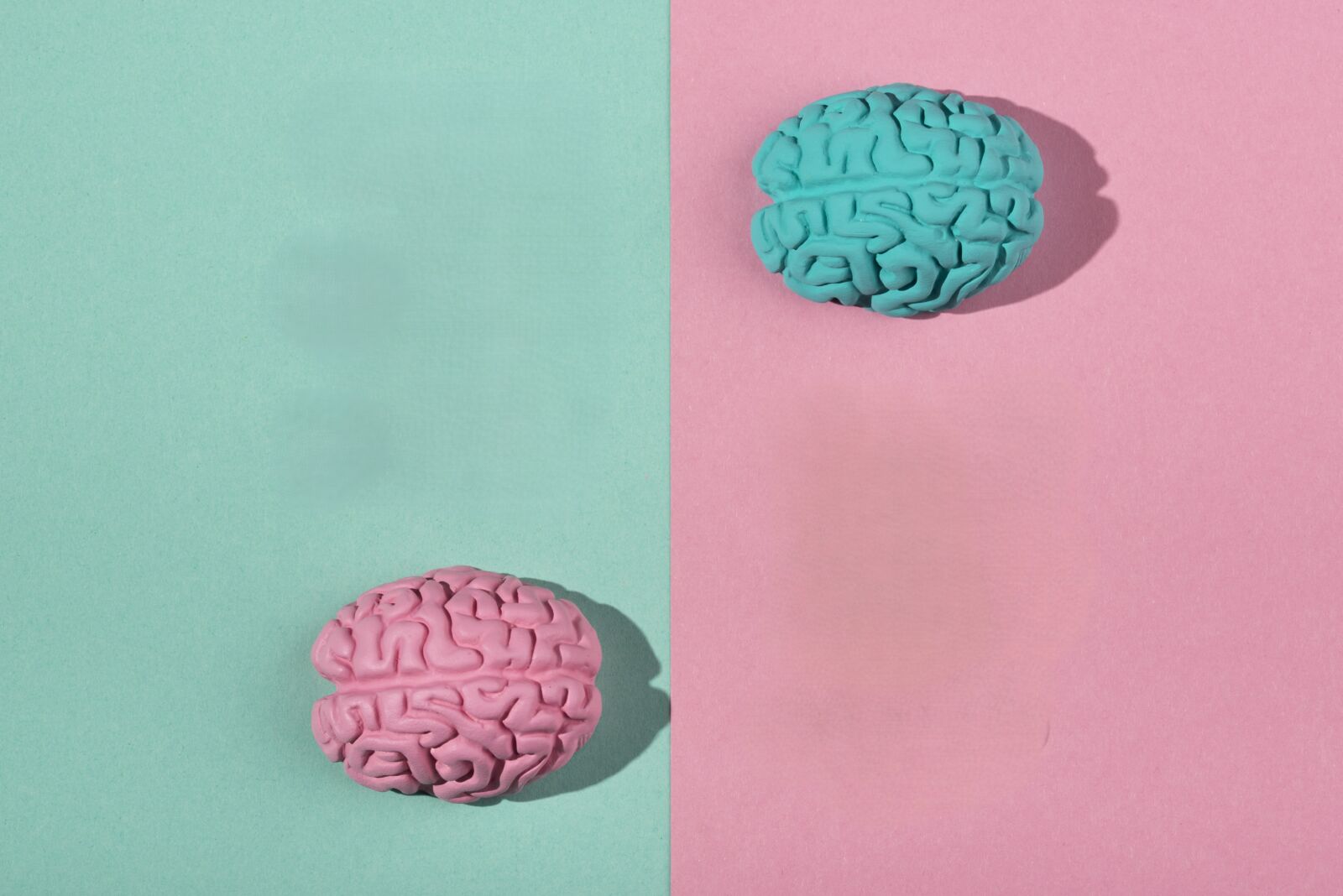 cervello genere