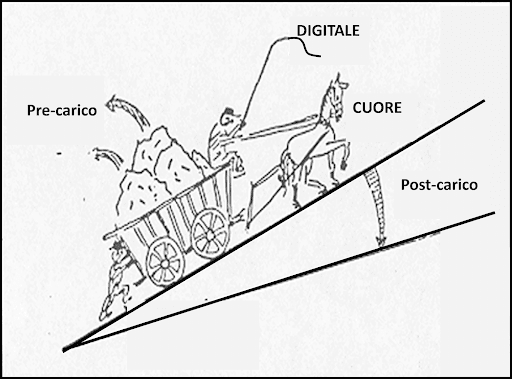 illustrazione sforzo cardiaco