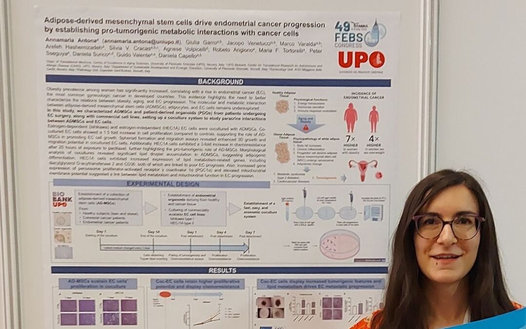 Cellule staminali mesenchimali e tumore endometriale: il premio a una ricercatrice UPO