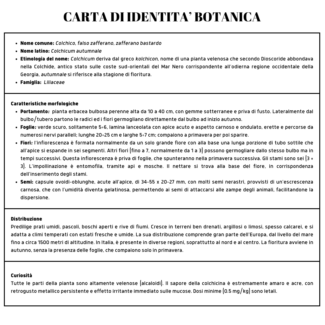 carta identità botanica