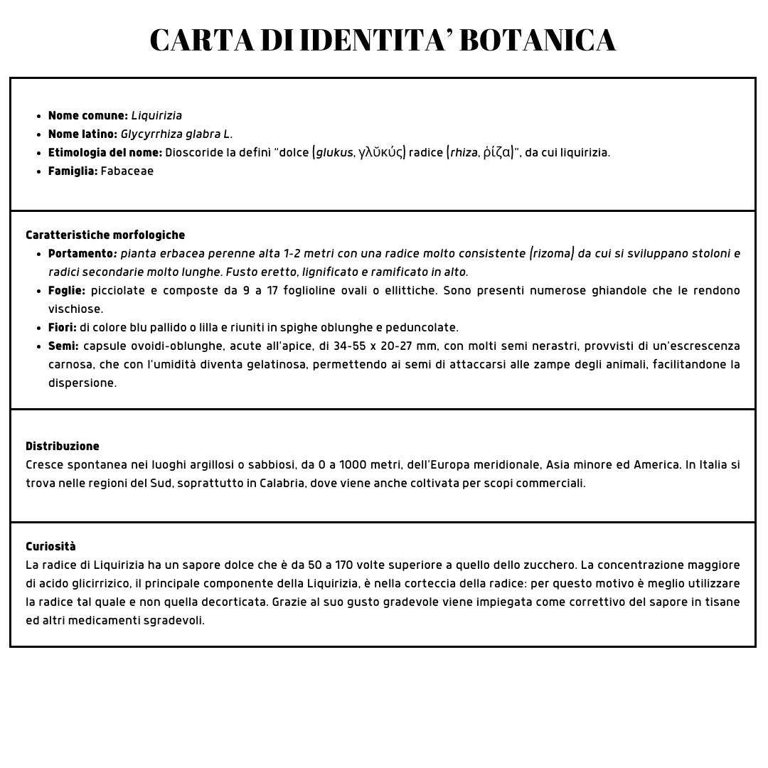 carta di identità botanica - liquirizia