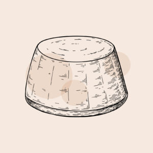 ricotta