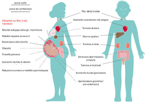 effetti sostanze perfuoriche pfas
