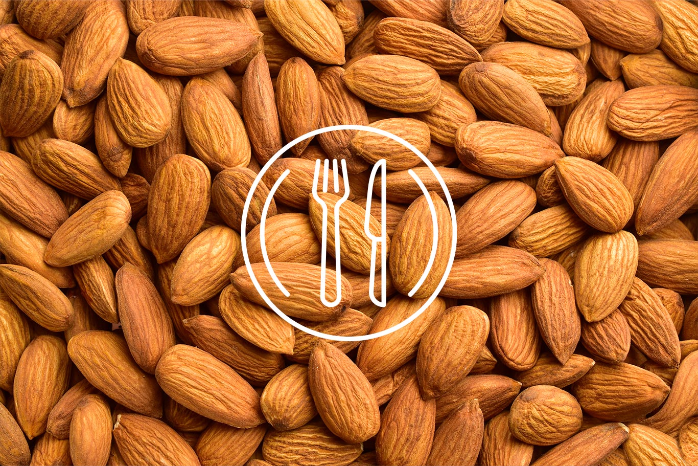 IMG_ricetta_2025_mandorle