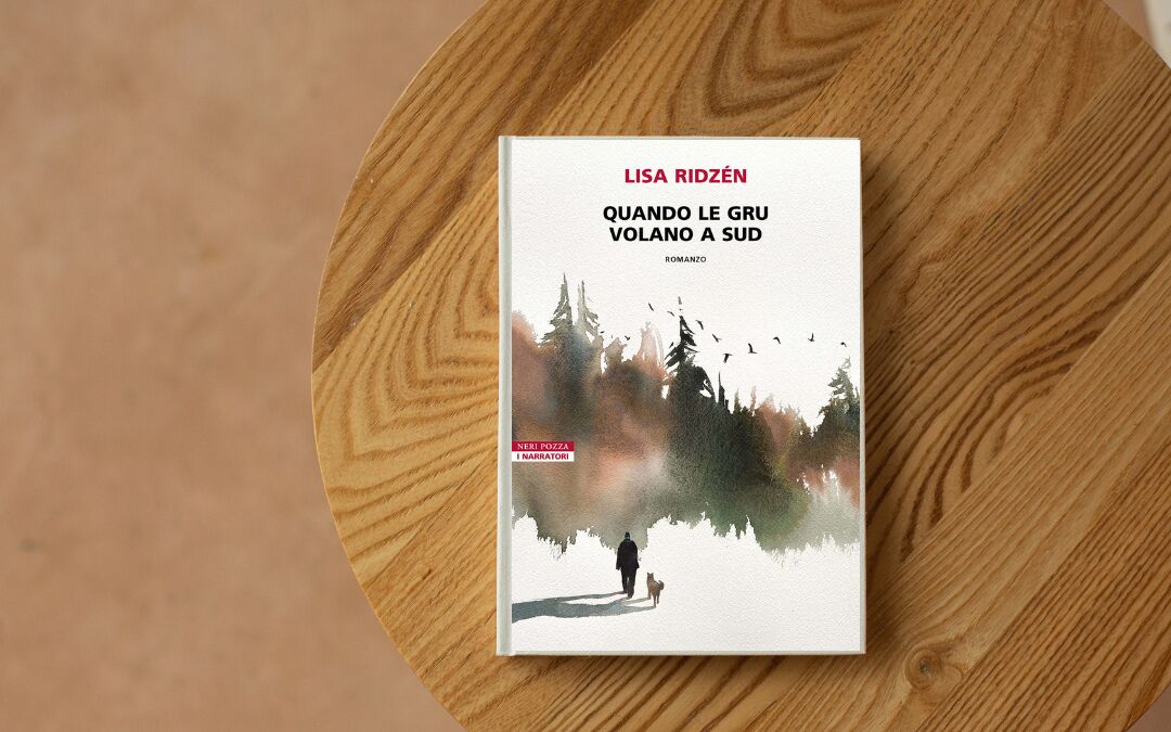 “Quando le gru volano a sud” di Lisa Ridzén