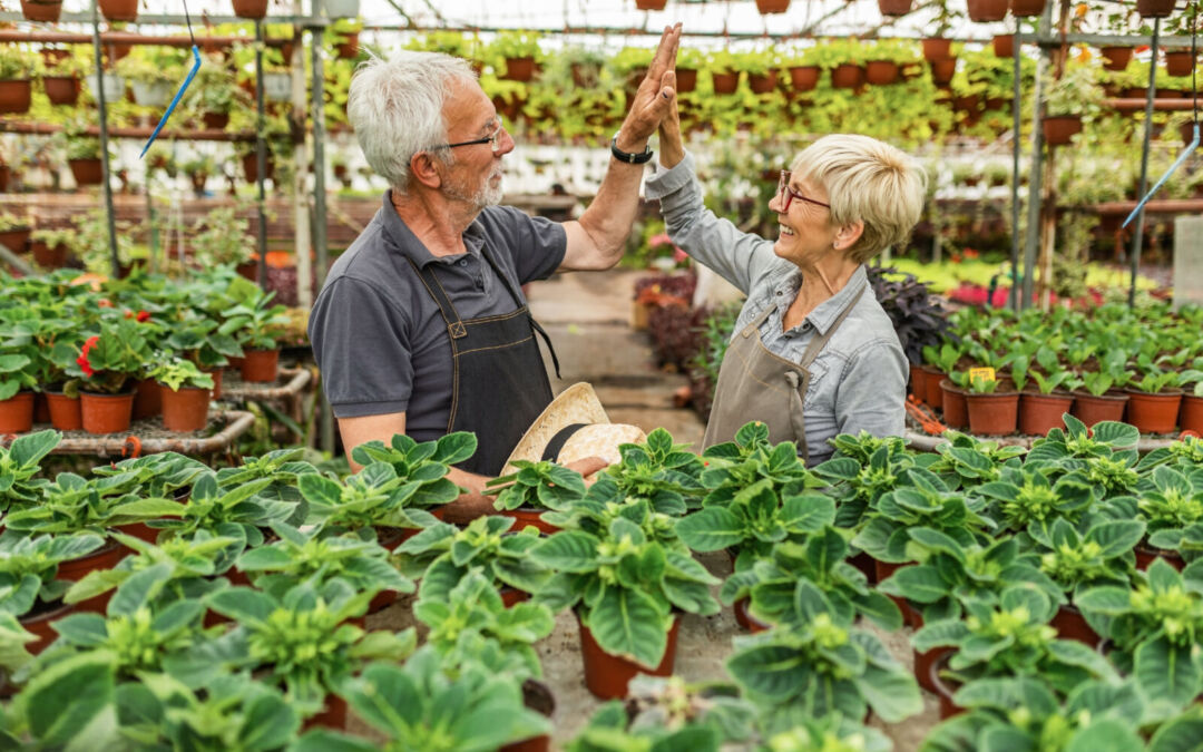 Orticoltura terapeutica per la demenza: benessere condiviso per anziano e caregiver