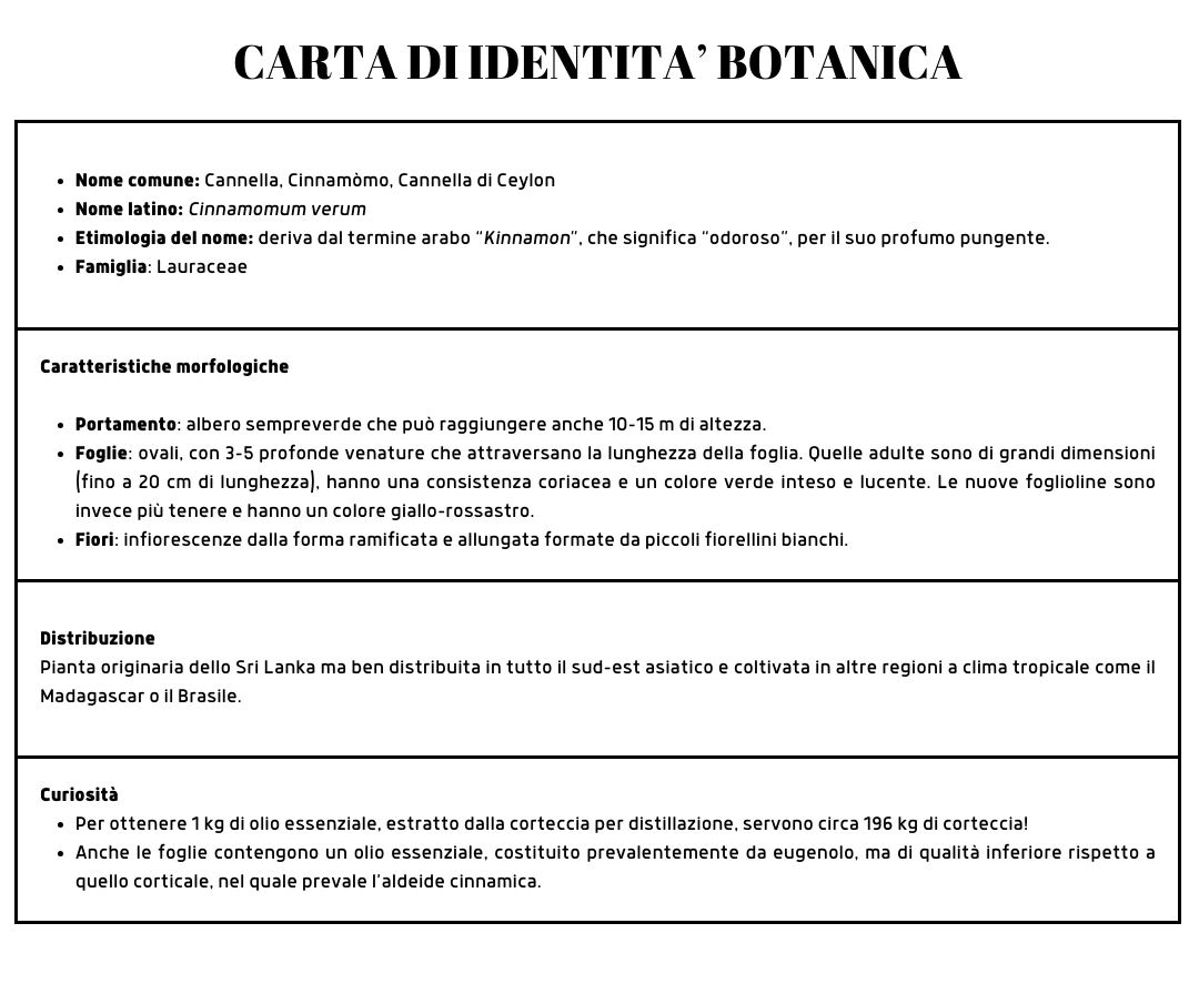 carta identita botanica cannella