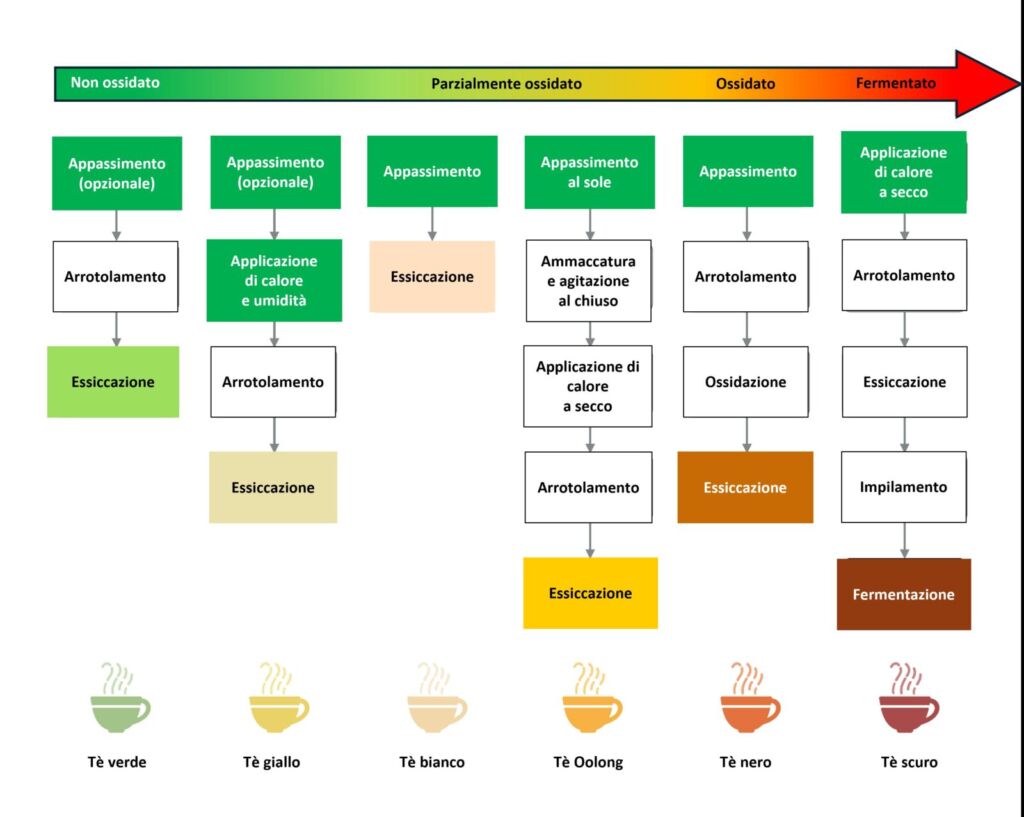 lavorazione del tè