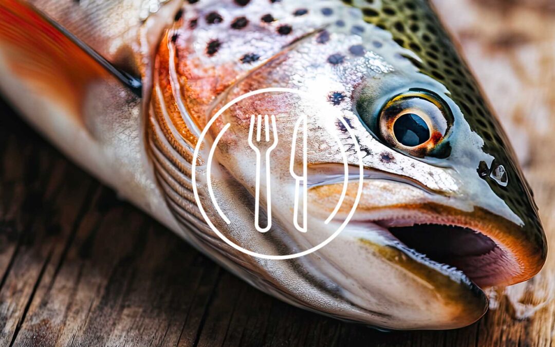 Trota, il pesce perfetto per chi vuole mangiare sano senza rinunciare al gusto