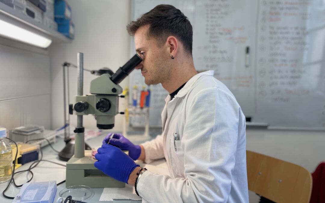 dieta e invecchiamento nuovo progetto di ricerca