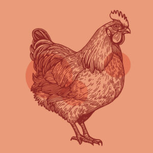 proprietà nutrizionali del pollo
